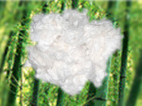 Bamboo Fiber Bamboo Fiber